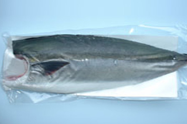 Fresh Hamachi Fillet